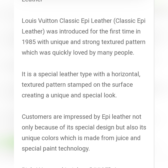 Louise Vuitton's Epi leather Authentic 'via demizon' backpack - fixed price - Picture 13 of 14